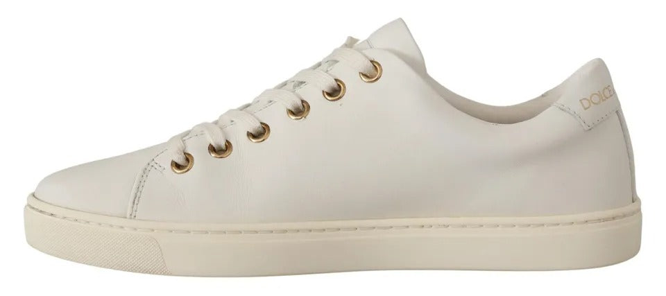 DOLCE  & GABBANA