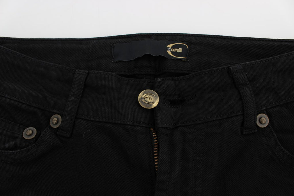 CAVALLI